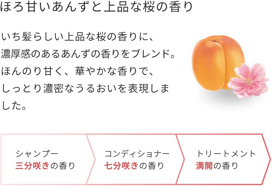 Ichikami Dense W Moisturizing Care Hair Conditioner Pump 480ml