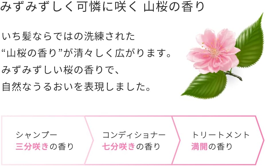 Ichikami Smooth Care Shampoo Pump 480ml