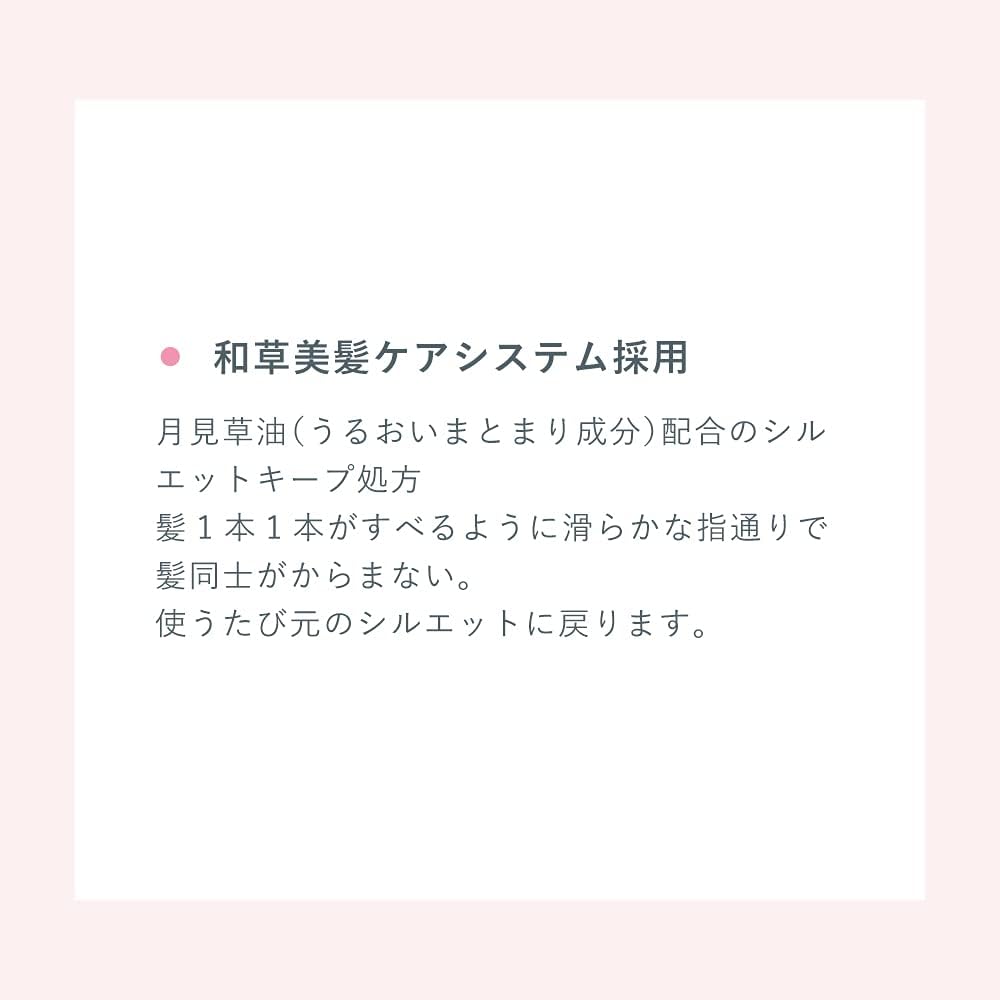 Ichikami Hair Treatment Serum 100ml