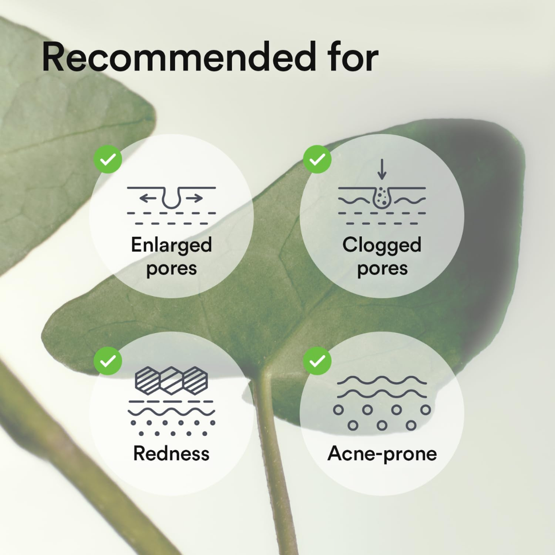 Abib Collagen Gel Mask Heartleaf Jelly 4 Sheets