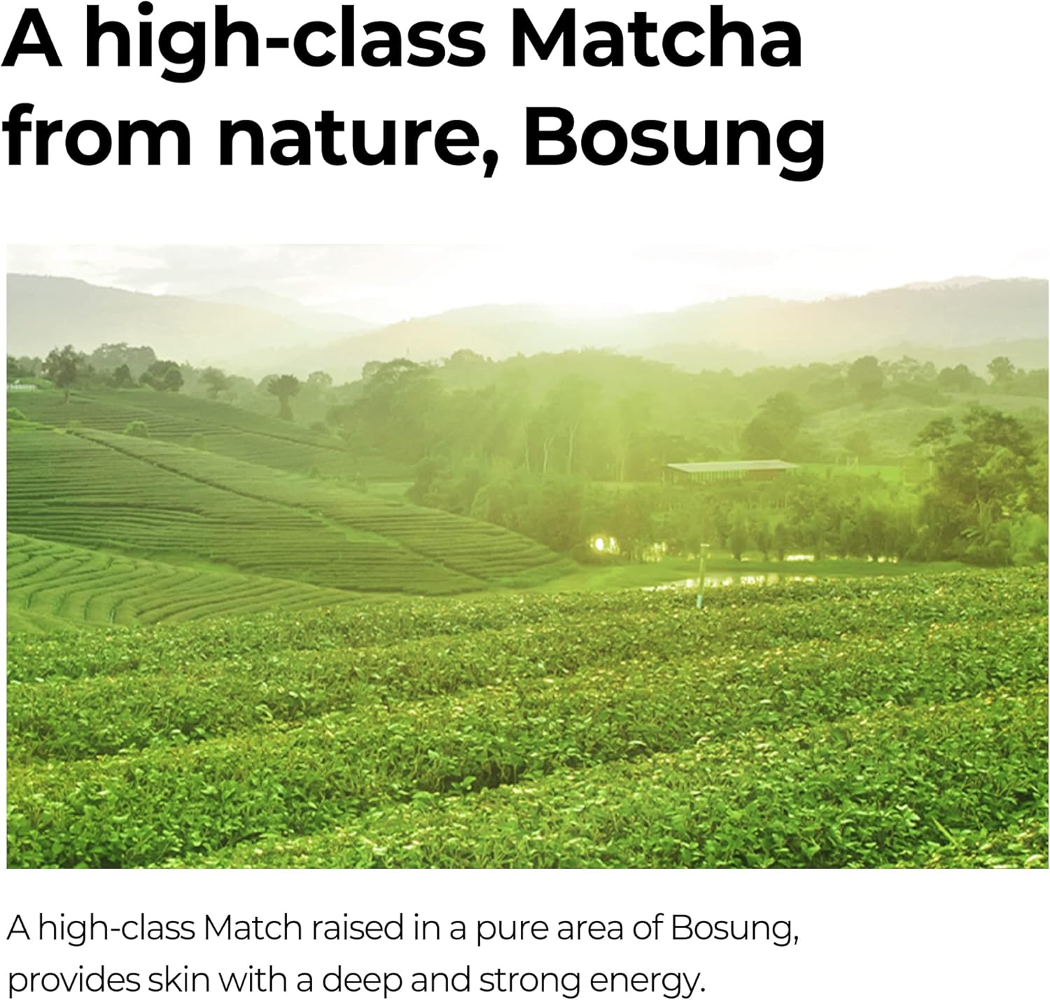 SOME BY MI Super Matcha Pore Clean Cleansing Gel 100ml